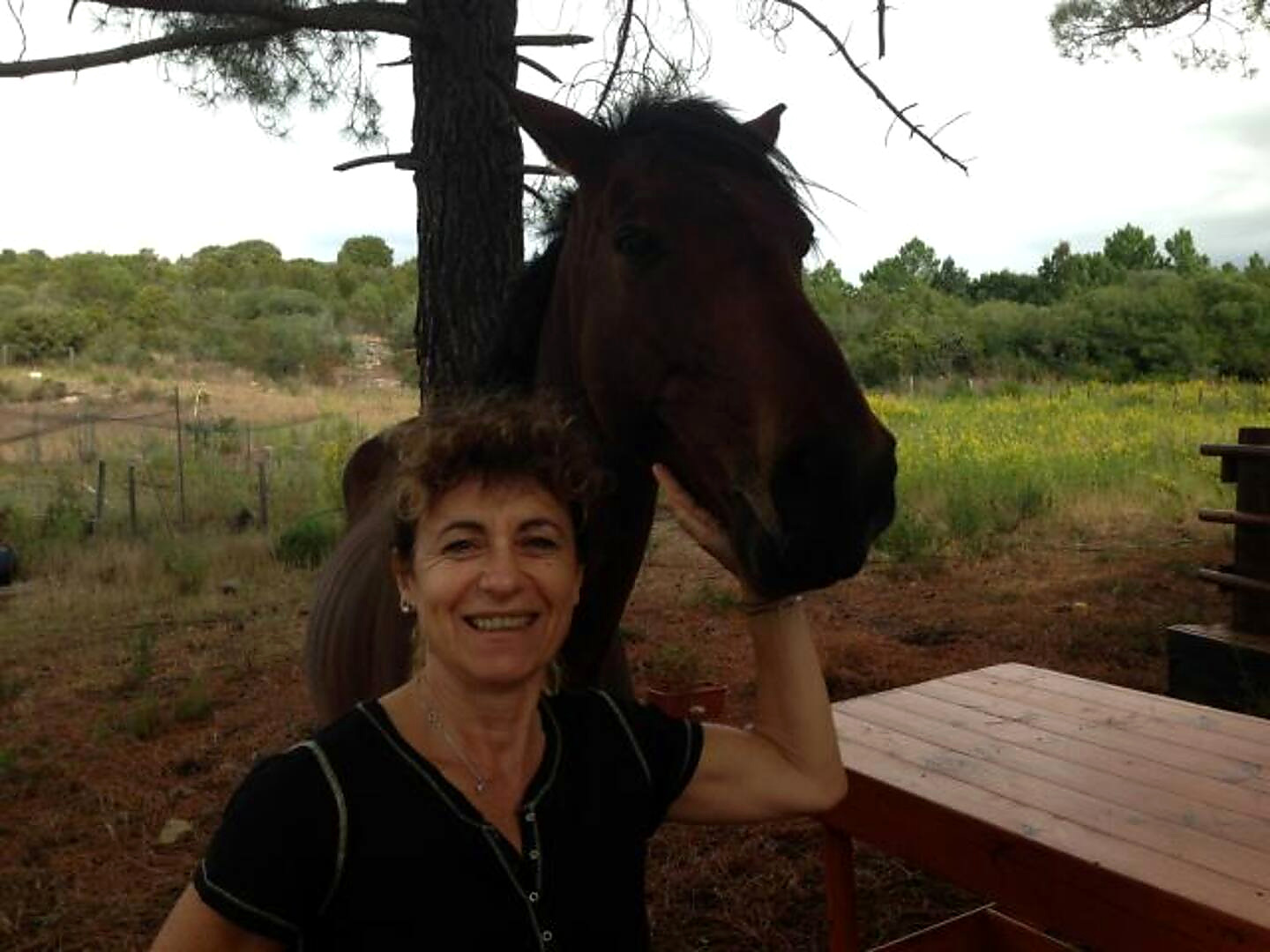 Photo du compte hôte du Domaine des Oliviers Sauvages